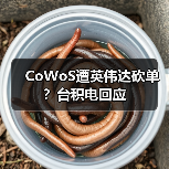 CoWoS遭英伟达砍单？台积电回应（图2）