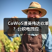 CoWoS遭英伟达砍单？台积电回应（图3）