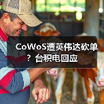 CoWoS遭英伟达砍单？台积电回应（图4）