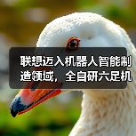 联想迈入机器人智能制造领域，全自研六足机器人IS正式下线（图2）