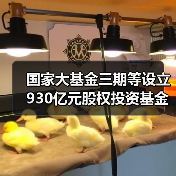 国家大基金三期等设立930亿元股权投资基金，目标芯片全产业链（图1）