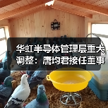 华虹半导体管理层重大调整：唐均君接任董事会主席，白鹏获委新任总裁（图3）