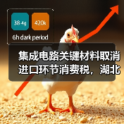 集成电路关键材料取消进口环节消费税，湖北企业将退税逾1500万元（图1）