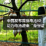 中国发布首批电池ID，动力电池迎来“身份证”时代（图3）