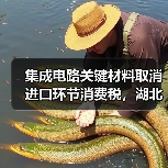 集成电路关键材料取消进口环节消费税，湖北企业将退税逾1500万元（图2）