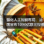 强化人工智能布局，法国宣布1090亿欧元投资计划（图4）