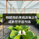 特朗普的关税政策正在威胁显示器市场（图1）