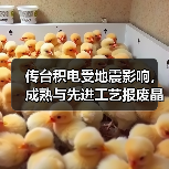 传台积电受地震影响，成熟与先进工艺报废晶圆合计高达6万片（图1）