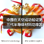 中国在太空成功验证第三代半导体材料功率器件(图3) 中国在太空成功验证第三代半导体材料功率器件(图3)