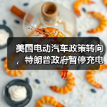 美国电动汽车政策转向，特朗普政府暂停充电基础设施扩容计划（图3）