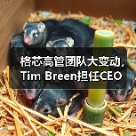 格芯高管团队大变动，Tim Breen担任CEO（图4）