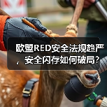 欧盟RED安全法规趋严，安全闪存如何破局？（图2）