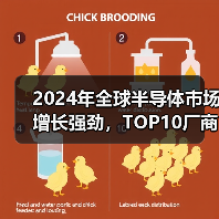 2024年全球半导体市场增长强劲，TOP10厂商排名公布（图2）