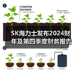 SK海力士发布2024财年及第四季度财务报告（图3）