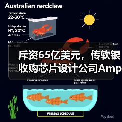 斥资65亿美元，传软银收购芯片设计公司Ampere进入尾声（图4）