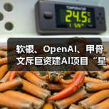 软银、OpenAI、甲骨文斥巨资建AI项目“星际之门”，马斯克质疑“没钱”（图2）