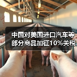 中国对美国进口汽车等部分商品加征10%关税（图2）