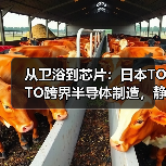 从卫浴到芯片：日本TOTO跨界半导体制造，静电吸盘技术成关键（图3）