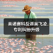 英诺赛科反诉英飞凌，专利纠纷升级（图4）