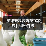 英诺赛科反诉英飞凌，专利纠纷升级（图3）