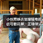 小伙用铁衣架增强电视信号致花屏，正确做法是什么？（图4）