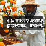 小伙用铁衣架增强电视信号致花屏，正确做法是什么？（图2）