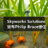 Skyworks Solutions 宣布Philip Brace接任 CEO(图2) Skyworks Solutions 宣布Philip Brace接任 CEO(图2)
