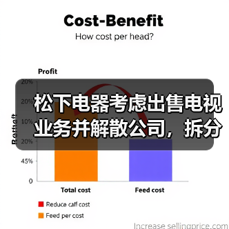 松下电器考虑出售电视业务并解散公司，拆分成多个独立子公司（图2）