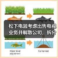 松下电器考虑出售电视业务并解散公司，拆分成多个独立子公司（图1）