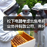 松下电器考虑出售电视业务并解散公司，拆分成多个独立子公司（图4）