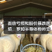 面临亏损和股价暴跌困境，罗姆半导体换帅变革（图2）