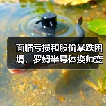 面临亏损和股价暴跌困境，罗姆半导体换帅变革（图3）