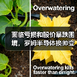 面临亏损和股价暴跌困境，罗姆半导体换帅变革（图1）