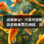 政策争议！汽车创新联盟起诉美国交通部，反对强制安装自动紧急制动系统（图3）