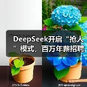 DeepSeek开启“抢人”模式，百万年薪招聘AI人才（图4）