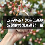 政策争议！汽车创新联盟起诉美国交通部，反对强制安装自动紧急制动系统（图2）