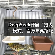 DeepSeek开启“抢人”模式，百万年薪招聘AI人才（图1）