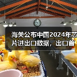海关公布中国2024年芯片进出口数据，出口首破万亿元（图4）