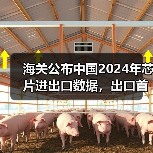 海关公布中国2024年芯片进出口数据，出口首破万亿元（图2）