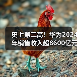 史上第二高！华为2024年销售收入超8600亿元（图1）
