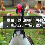受益“以旧换新”补贴,京东方、华星、惠科等连续三月提高面板厂利用率(图1) 受益“以旧换新”补贴,京东方、华星、惠科等连续三月提高面板厂利用率(图1)