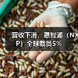 营收下滑,恩智浦(NXP)全球裁员5%(图3) 营收下滑,恩智浦(NXP)全球裁员5%(图3)