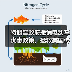 特朗普政府撤销电动车优惠政策,拯救美国传统汽车工业(图2) 特朗普政府撤销电动车优惠政策,拯救美国传统汽车工业(图2)