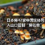 日本将42家中国实体列入出口管制“黑名单”，涉及处理器、光刻机等领域（图3）