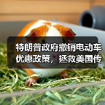 特朗普政府撤销电动车优惠政策,拯救美国传统汽车工业(图1) 特朗普政府撤销电动车优惠政策,拯救美国传统汽车工业(图1)