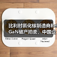 比利时氮化镓制造商BelGaN破产拍卖,中国企业成主要买家之一(图2) 比利时氮化镓制造商BelGaN破产拍卖,中国企业成主要买家之一(图2)