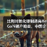 比利时氮化镓制造商BelGaN破产拍卖,中国企业成主要买家之一(图1) 比利时氮化镓制造商BelGaN破产拍卖,中国企业成主要买家之一(图1)
