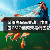 荣耀高层再变动，中国区CMO姜海荣与销售部部长郑树宝离职（图4）