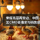 荣耀高层再变动，中国区CMO姜海荣与销售部部长郑树宝离职（图2）