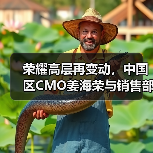 荣耀高层再变动，中国区CMO姜海荣与销售部部长郑树宝离职（图3）